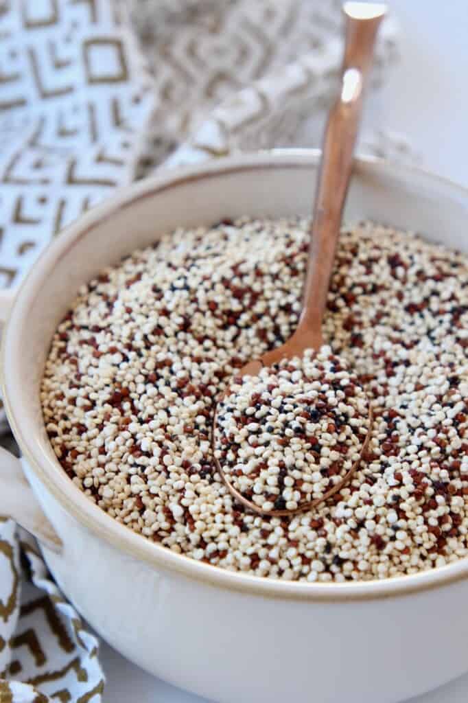 tri color quinoa in bowl with spoon