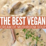 creamy mushroom soup in bowl with spoon