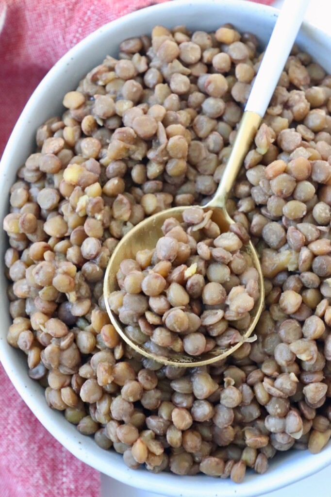cooked brown lentils in white bowl with spoon