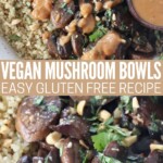 cooked sliced mushrooms in bowl with quinoa, slaw, chopped peanuts and peanut sauce